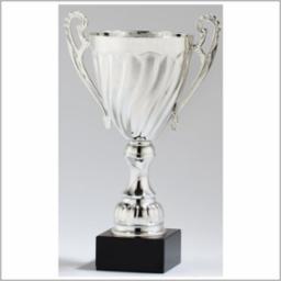 Elegant Metal Trophy Cup - Gold or Silver
