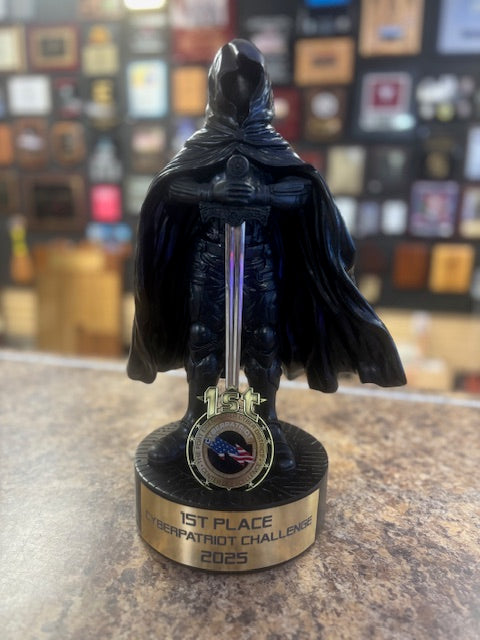 Cyber Shadow Warrior